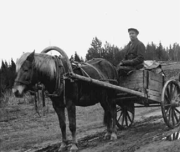 Tarkkonen Matti ja Veikko